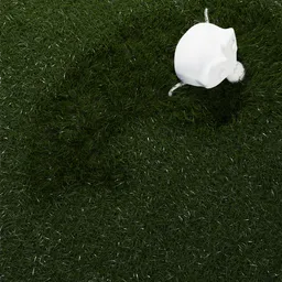 Interactive Grass - Animated