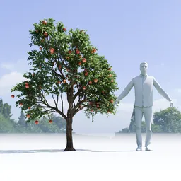 Apple Tree