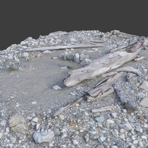 Lake Shore Ground Rocks Photoscan