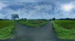Countryside Road HDRI