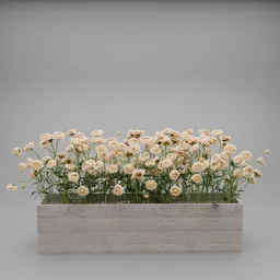 Flower Planter Box