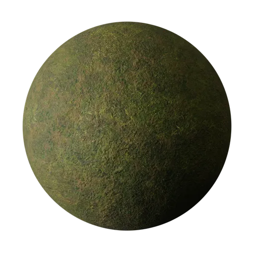 Wet moss