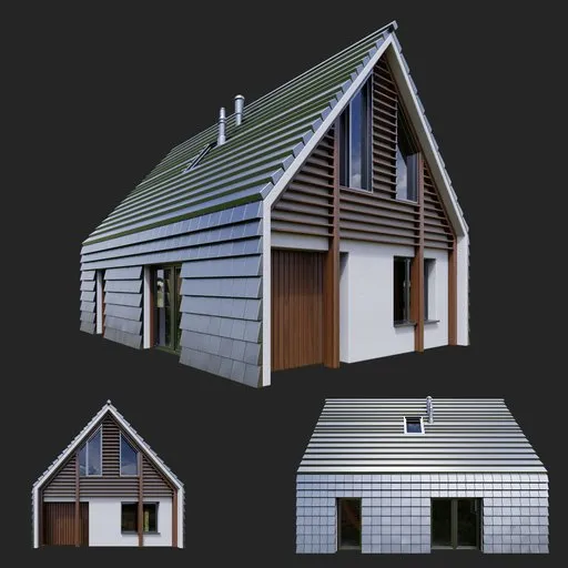 Modern Wood House with Steep Gable Roof
