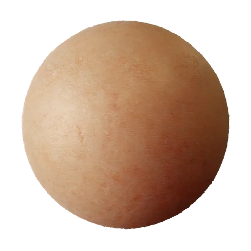Human Skin