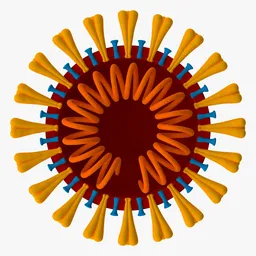Coronavirus v3 Cross Section