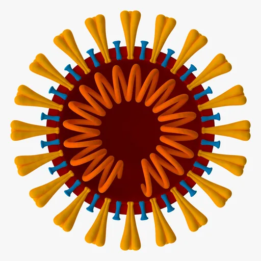 Coronavirus v3 Cross Section