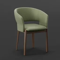 Modern Barrel Dining Chair