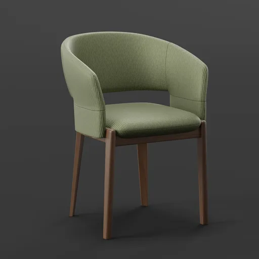 Modern Barrel Dining Chair