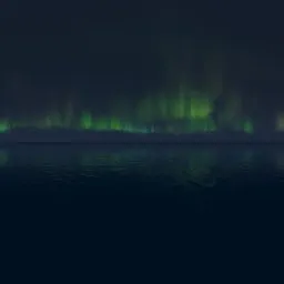 The night sky
