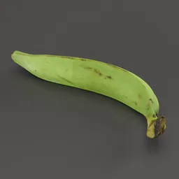 High-resolution 3D green banana model with realistic 8K textures, perfect for Blender rendering.