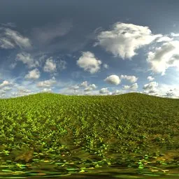 Sunny Green Hills