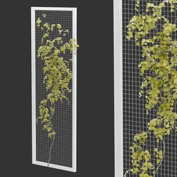 Fence Ivy Autumn Plant AQ