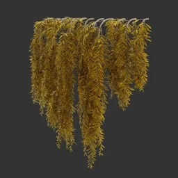 Hanging Autumn Plant