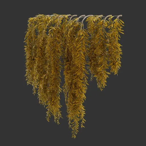 Hanging Autumn Plant
