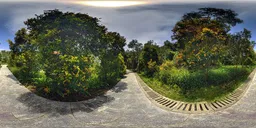 Daytime mountain trails