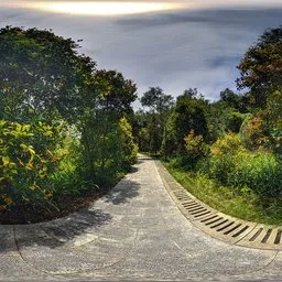 Daytime mountain trails