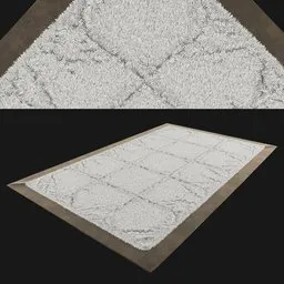 Soft Shaggy Rug