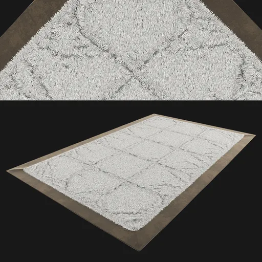 Soft Shaggy Rug