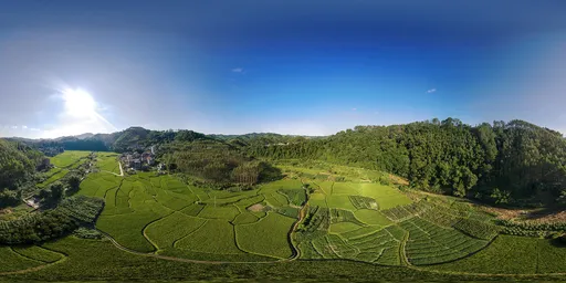 Daytime in the farm