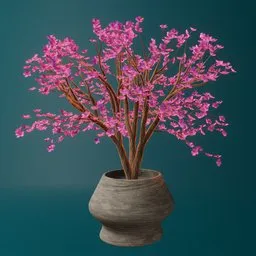 Cherry blossom tree in wooden planter