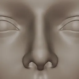 Generic Female Nose Realistic