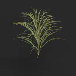 Detailed Blender 3D model of a verdant, lifelike grass tuft perfect for digital landscapes.
