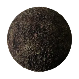 Dirt Pine Cones Rocks