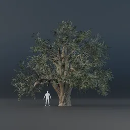 Oak Tree - Matured (Summer)
