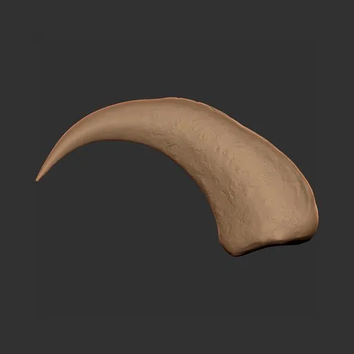Fantasy Monster Claw