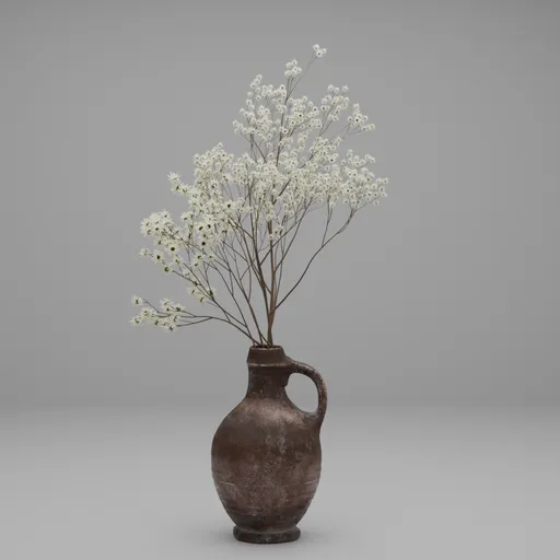 Dried White Wildflower