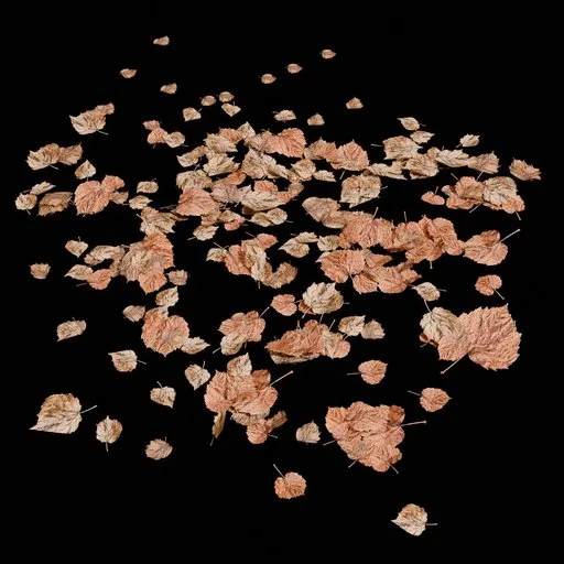 Realistic Autumn Leaf Ground Scatter
