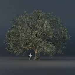 Oak Tree - Wide (Summer)