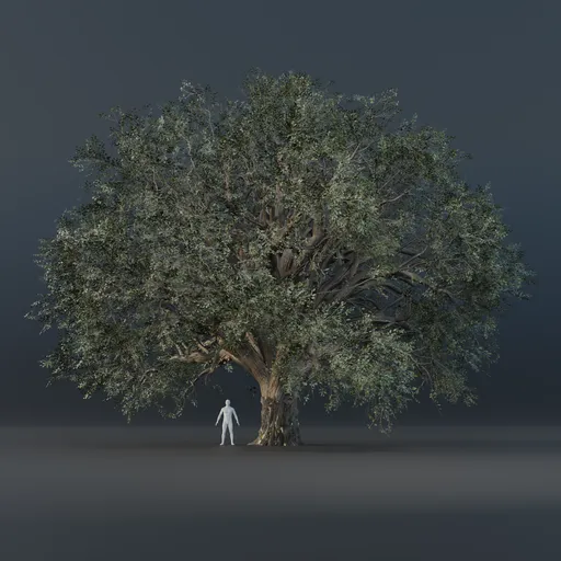 Oak Tree - Wide (Summer)