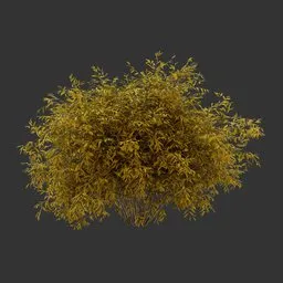 Bush Autumn Plant