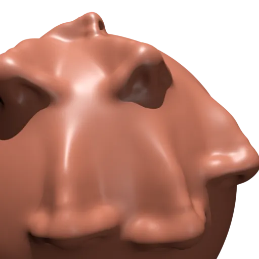 Nose  VDM