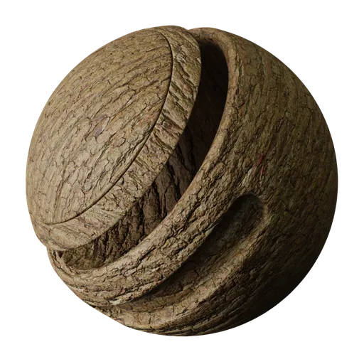 Rough Tree Bark