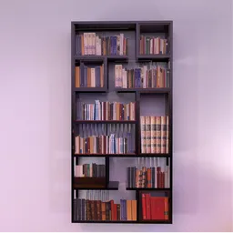 Book shelve filled