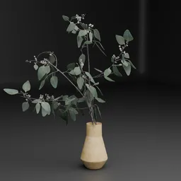 Eucalyptus in Vase