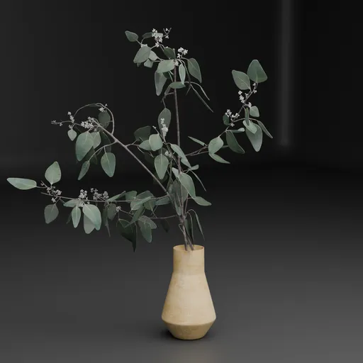 Eucalyptus in Vase