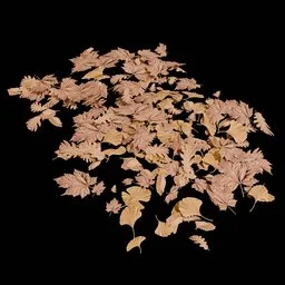 Realistic Autumn Leaf Ground Scatter