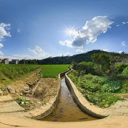 Fields during the day