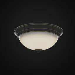 Universal Ceiling Lamp