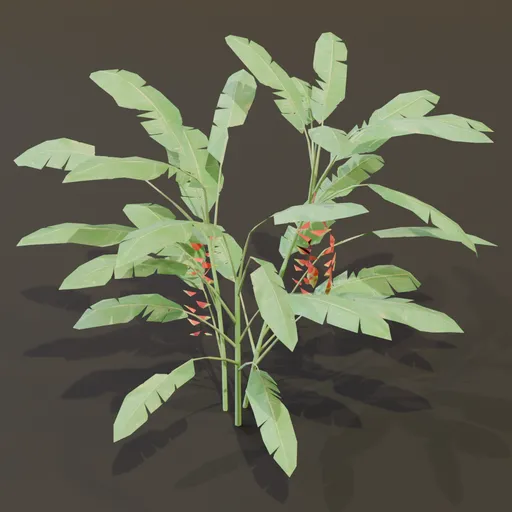 Heliconia Lobster Claw Plant Large