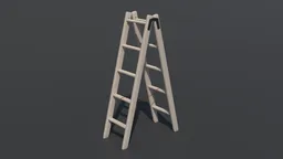 Wooden Ladder