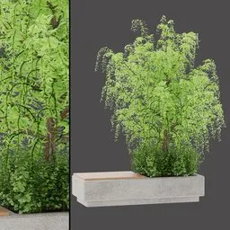 Concrete Tree Bench