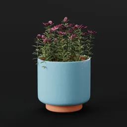 Plant Redpod Flower Pot