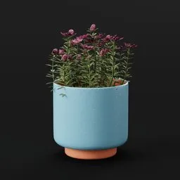 Plant Redpod Flower Pot