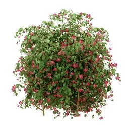 Ivy Flower Column Plant