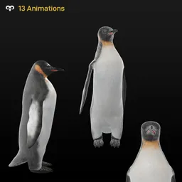 Female Penguin (Animated)