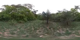 12K serene Berg en Dal forest HDRi for realistic lighting, showing a lush clearing with dynamic range.